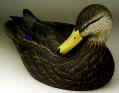 Decoy Duck of the Week: Dd14