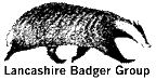 Badger Time: Badgerlogo2