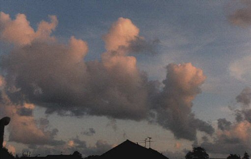 “A tar-like odor everywhere prevailed, and I…”: Cumulus