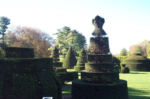 The Crucial Importance of Topiary: Topiary
