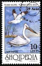 Other Places, Other Names: Albanianstamp