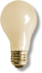 A Message to Readers From Fatima Gilliblat: Lightbulb