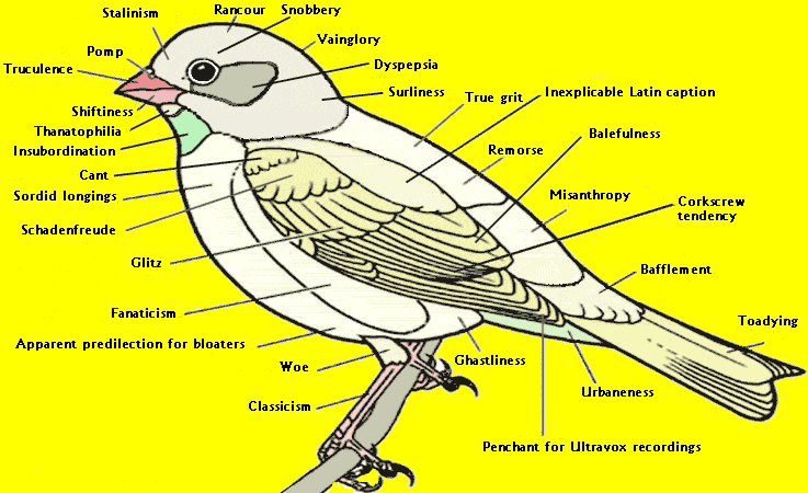 Blotzmann's Bird Psychology Diagram : Correction: Bird_Diagram_B