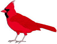 Invaluable Cardinals: Cardinal