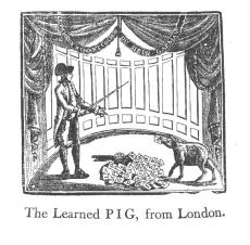 learnedpiglondon