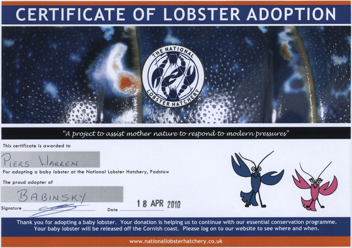 lobster adoption