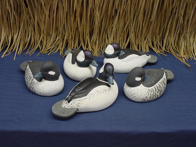 HP_bufflehead_grp